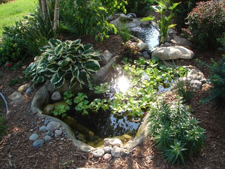 Preformed Ponds: Great Way to Landscape Your Yard
