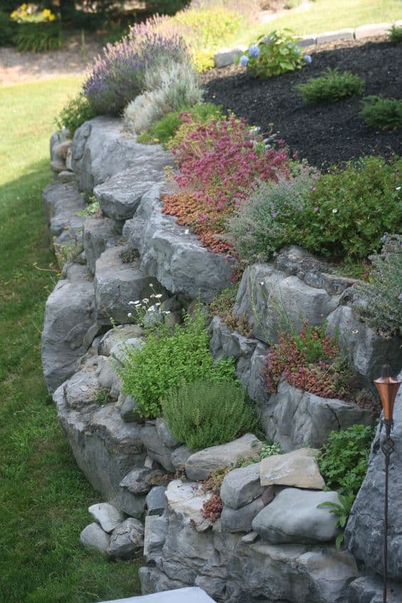 rock garden designs yard source amazing