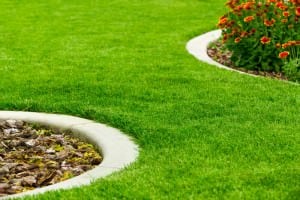 So, you have a blank patch of dirt or soil but you don't know how to get green grass? Well, don’t jump the gun just yet, there are a few things you need to take care of first.