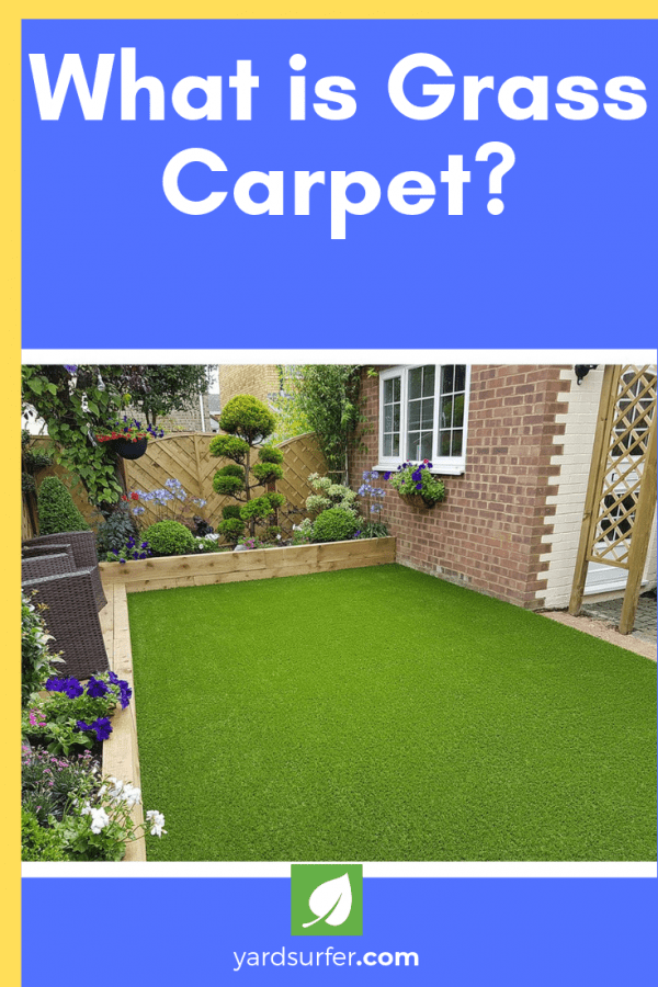 What is Grass Carpet?