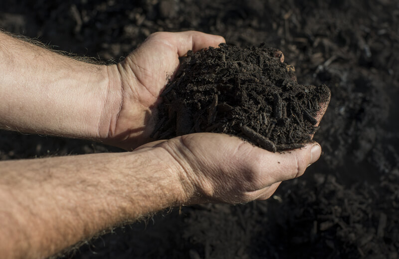 What is Composting and How to Start