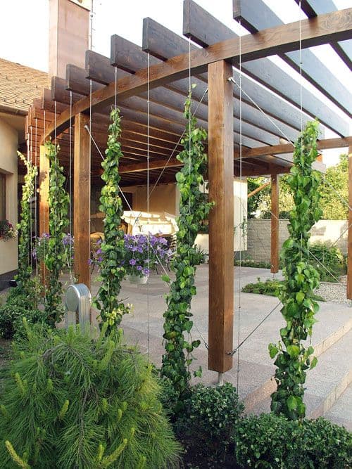  Check out these 15 perfect pergola ideas.