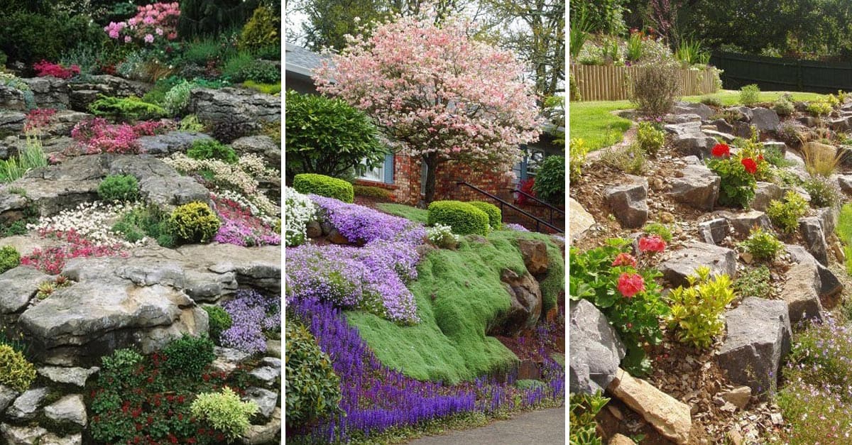 15 Amazing Rock Garden Design Ideas, How To Design A Garden With Rocks