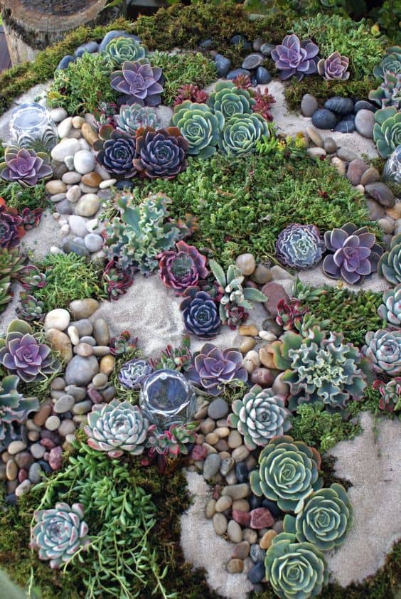  Rockery Ideas Designs for Small Space