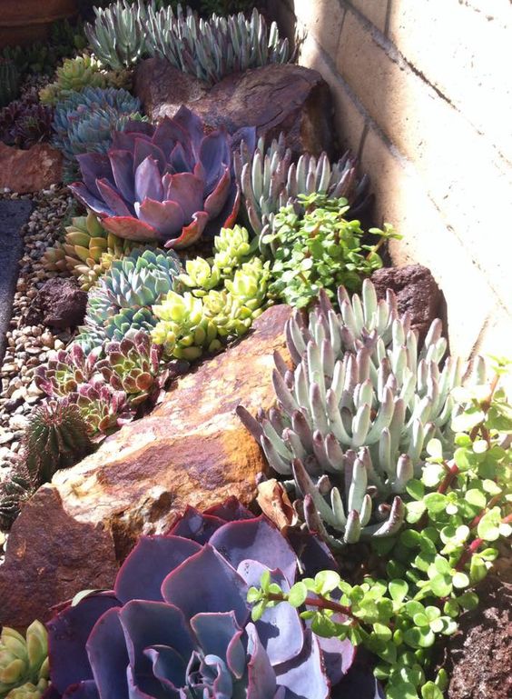Check out these fantastic rock garden designs and ideas.