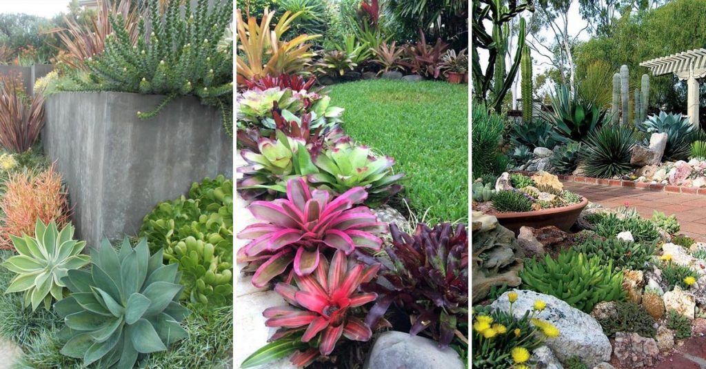 15 Amazing Succulent Decorating Ideas