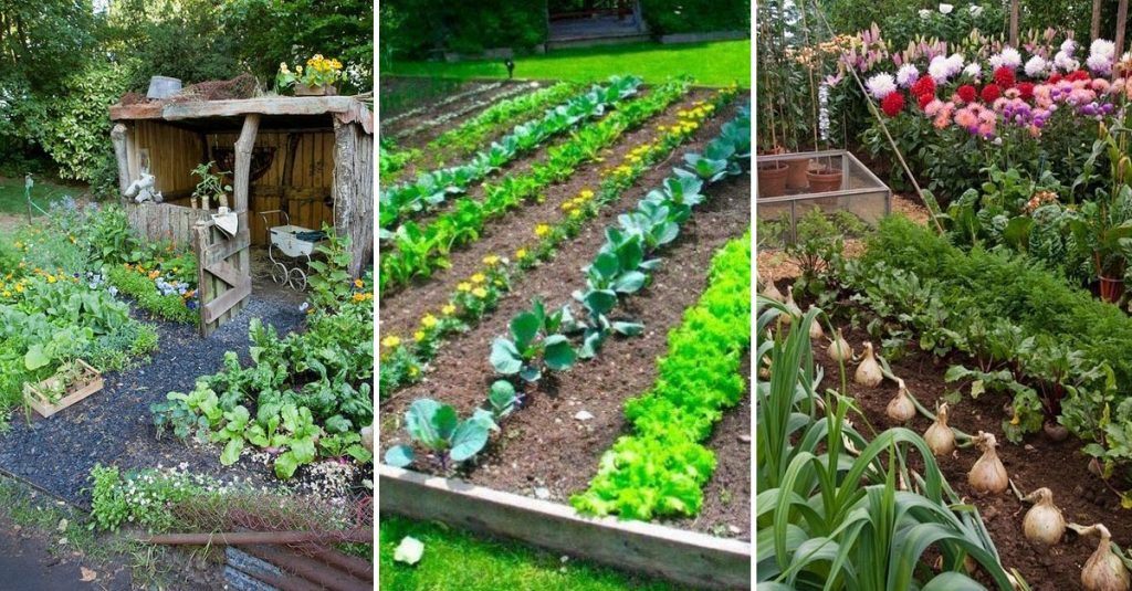 15 Herb & Vegetable Garden Ideas