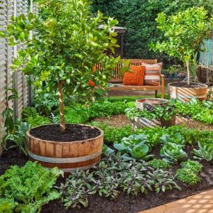 15 Herb & Vegetable Garden Ideas