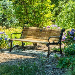 Garden bench in beautiful greenery
