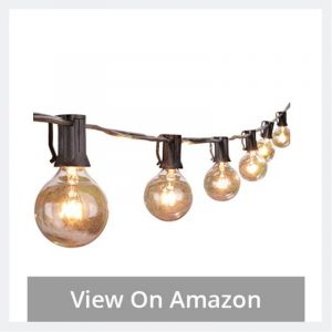 Globe String Lights with Clear Bulbs