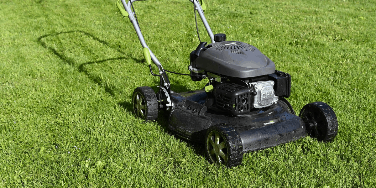 Best Corded Electric Lawn Mower Reviews Yard Surfer